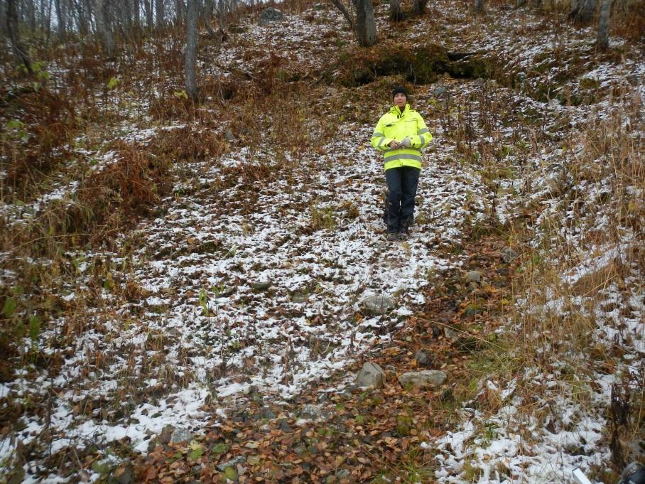 Figur 14. Skredat område i övre branten.