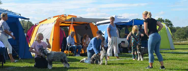 1994-2019 BEST IN SHOW Valp 4-6mån BIS 1 Cegali s Hauser Robert Reimby Valp 6-9mån BIS 1 Argenta s Valkyria Caroline Spets, Boel Niklasson BIS 2 Schnaublacks Whats Up Monika Håkansson Junior BIS 1
