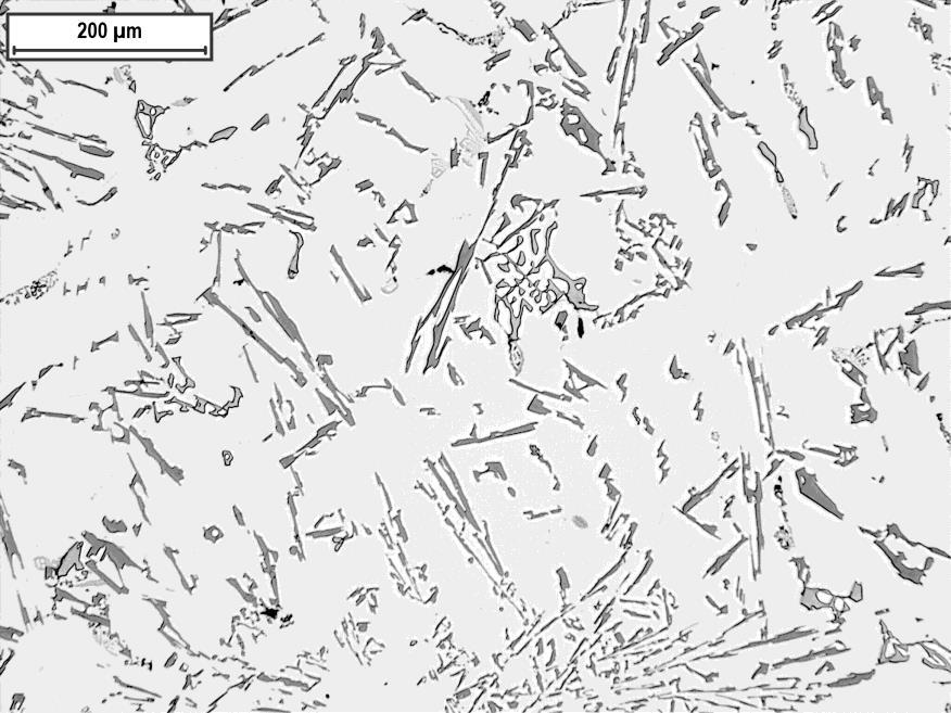 Bild 11 Prov 5 71 ppm