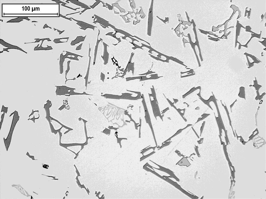 Mikrostruktur vid 220X förstoring Bild 13 Prov 0 <0,0010ppm Sr Förstoring: