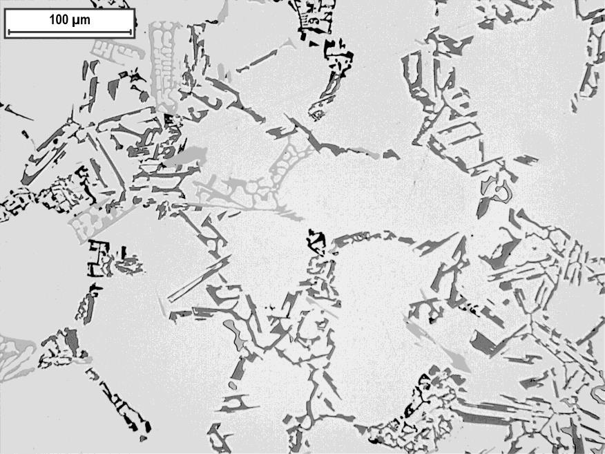 Bild 17 Prov 3 297 ppm Sr Förstoring: 220X