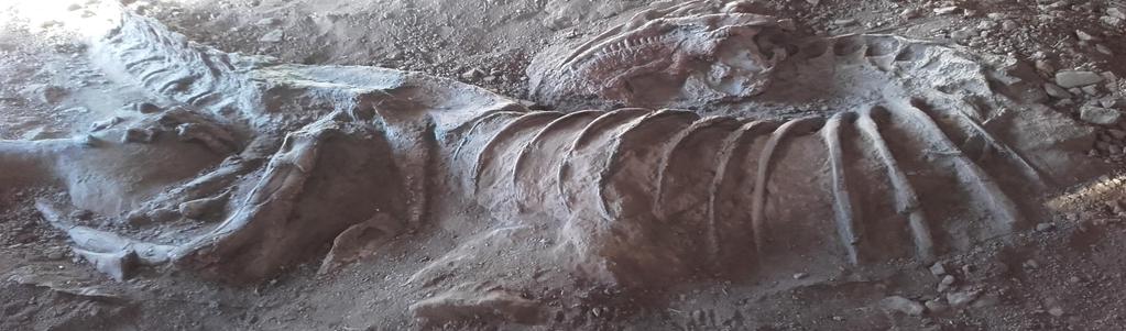 handlingsplan för människor, planeten och välstånd.