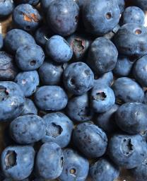 Fruktträden på gårdarna: Nu när frukterna i träden mognat vill vi påminna om att frukten är till för ALLA boende på gårdarna.