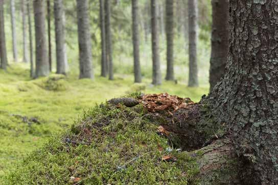 Med låga omkostnader och utan bindning till industrin kan du känna dig trygg