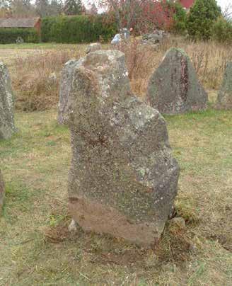 återväxten av gräs runt stenarna. FIGUR 3 10.
