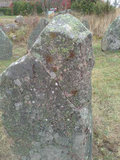 FIGUR 13. Den limmade stenen efter det att den rests igen. Foto: Olle Heimer, SAU. FIGUR 14.