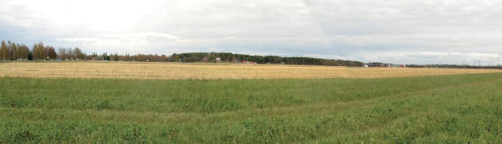 Den storskaliga Röbäcksslätten har en struktur av ägovägar, diken och bebyggelse som följer Degernäsbäckens riktning nordväst-sydost/ nordost-sydväst.