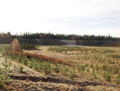2.2.5 Karaktärsområde 5 Grustaget Efter den trånga passagen mellan bebyggelsen i Röbäck och Travbanevägen passerar den planerade vägen ett stort, nedlagt, grustag.