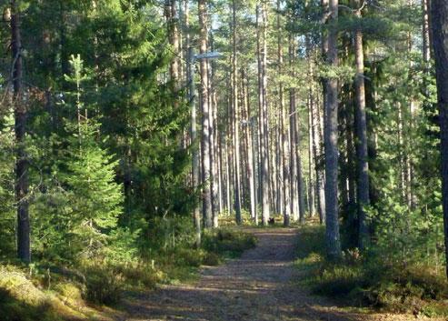 Skogsmarken avslutas i öster av en grustäkt, den så kallade Grop 21, med pågående täktverksamhet.