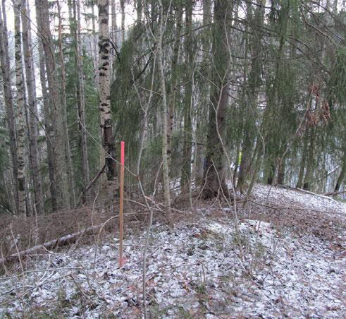 Den norra nipan karaktäriseras av kraftig granskog med inslag av löv. Längs den norra älvstranden passerar en cykel- och vandringsled från centrum upp till Kåddis.
