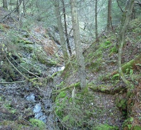 Från krönet av älvnipan är den visuella kontakten med älven begränsad på grund av tät skog.