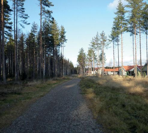 Det öppna fältet är 150 x 250 meter och omges av skogsmark, förutom i norr där Vännäsvägen passerar. Skogsmarken öster om Prästsjön genomkorsas av ett nätverk med stigar och gamla brukningsvägar.