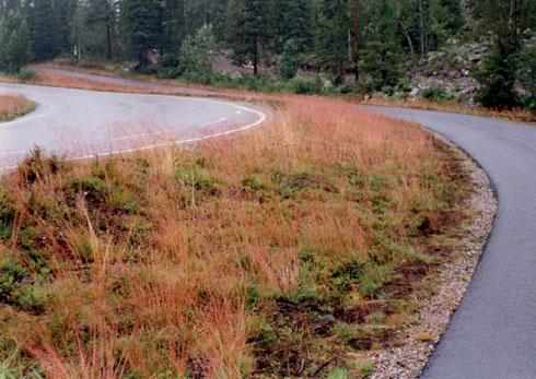 Drifts- och underhållsaspekter inarbetas vid valet av ytskikt.