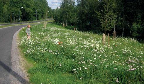 ris. Etableringen görs i första hand med tillvaratagna avbaningsmassor från platsen eller med flytt av sjok från liknande naturtyp.