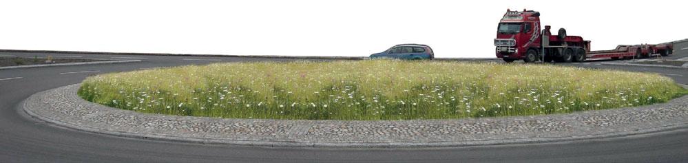 Rondellens mitt ges ett markskikt av gräs och örter med ängsblommekaraktär. Etablering sker genom sådd med ängsfrön och komplettering med örtpluggplantor för rikligare blomning.