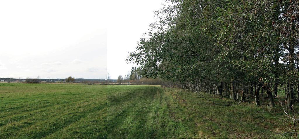2.2.1 Karaktärsområde 1 - Tegsrondellen slättlandskapet möter staden Infarten mot Umeå från söder är den stiligaste entrén till staden.