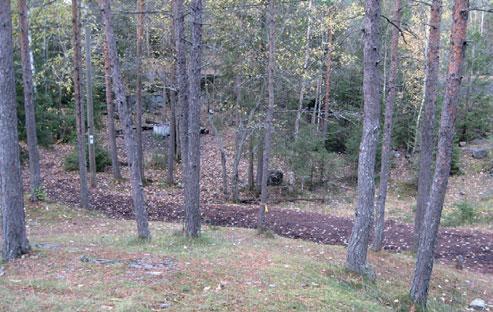 2.2.2 Karaktärsområde 2 - Bölekläppens skol- och rekreationsskog Bölekläppens skog ligger mellan västra Teg och SLU Röbäcksdalen och är en viktig rekreationsskog för närboende och för