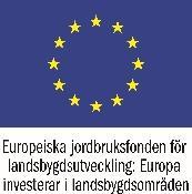På en Facebooksida går det att ange information under Om och Mer info, där kan in lämpligen skriva Projektet finansieras med stöd från Europeiska [ange fond] och LEADER Sydöstra Skåne.