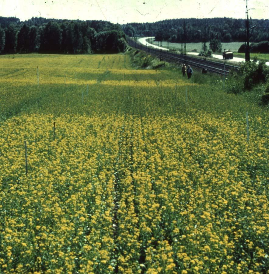 Sprutning av