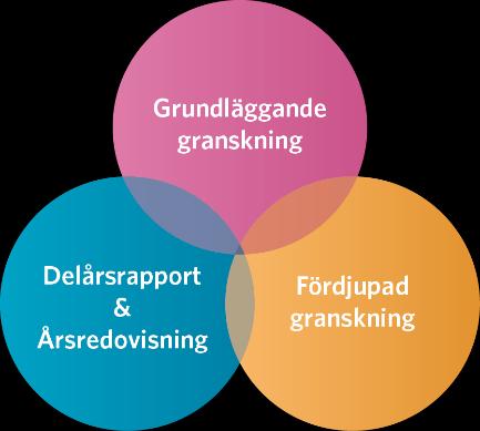 Revisionsplanen Utifrån riskanalysen prioriterar revisorerna och lekmannarevisorerna granskningsinsatser och beskriver dessa i revisionsplanen/granskningsplanen.