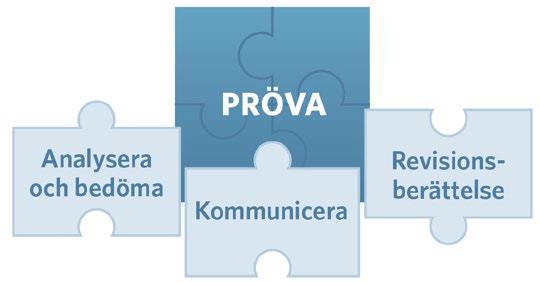 Utgångspunkt för granskningen är det kommunala ändamålet, bolagsordning, ägardirektiv och andra styrdokument.