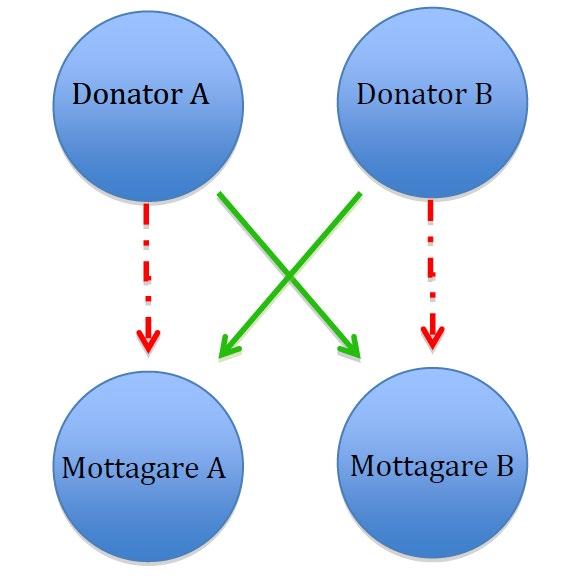 Immunologi och transplantationsförenlighet (korstest): Vid en njurtransplantation är det viktigt att mottagaren inte har antikroppar riktade mot donatorn då detta ökar risken för avstötning och sämre