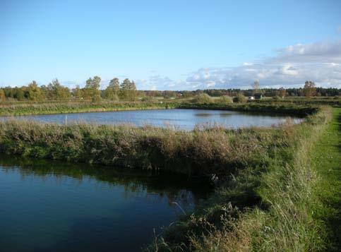 Besöksadress Visborgsallén