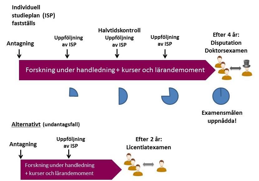 Karolinska Institutet Systematiskt kvalitetsarbete forskarutbildning 5 (8) Kvalitetssäkring genom regelverk Kvalitetssäkring av en enskild doktorands utbildning regleras genom regler och anvisningar.