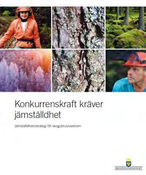Bilaga 2 Åtgärder för en Jämställd skogssektor ett uppdrag inom Nationella skogsprogrammet Maria Högvall Nordin Raymond Wide 1 Bakgrund - Skogsstyrelsens jämställdhetsarbete Regeringens övergripande
