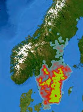 Inventering Södra, Götaland 5 miljoner m 3 sk angripen skog Inventering Skogsstyrelsen och Södra, v 43 Sker på samma sätt i Götaland som i Svealand Förslag utökat och