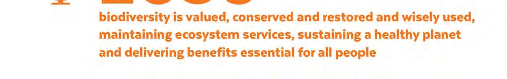 och är till väsentlig nytta för alla människor Naturvårdsverket Swedish Environmental Protection Agency 2019-09-19 7 Var kommer regeringsuppdraget in?