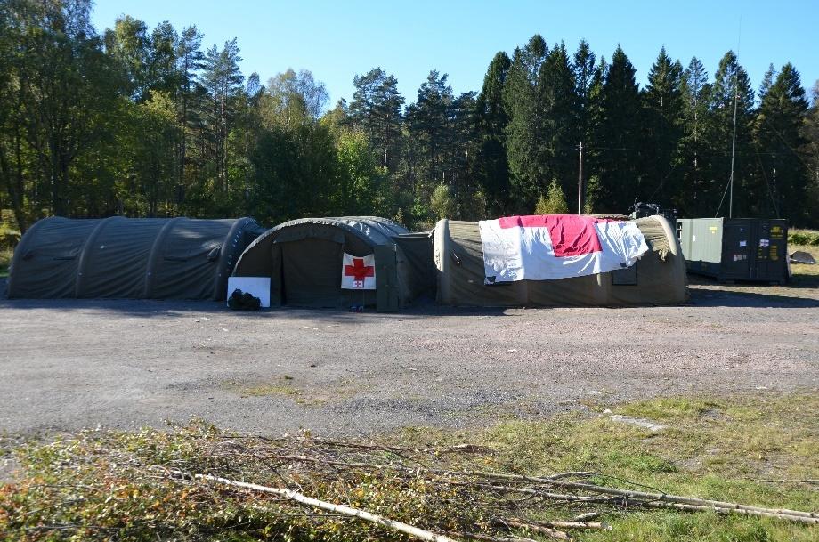 som kan drabba både djur och människor). En svårighet är då att definiera vad som är normalt. Det är sannolikt att det är summan av flera tecken som visar att en händelse är avsiktlig. 4.