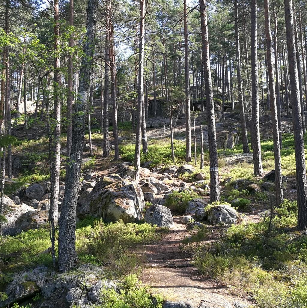 Fastställd i kommunfullmäktige