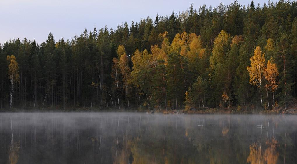 UTVECKLINGSOMRÅDEN Trivsel & service Kännetecknande för Tived är att det här finns ovanligt många eldsjälar som brinner för sin bygd och kämpar för des utveckling.