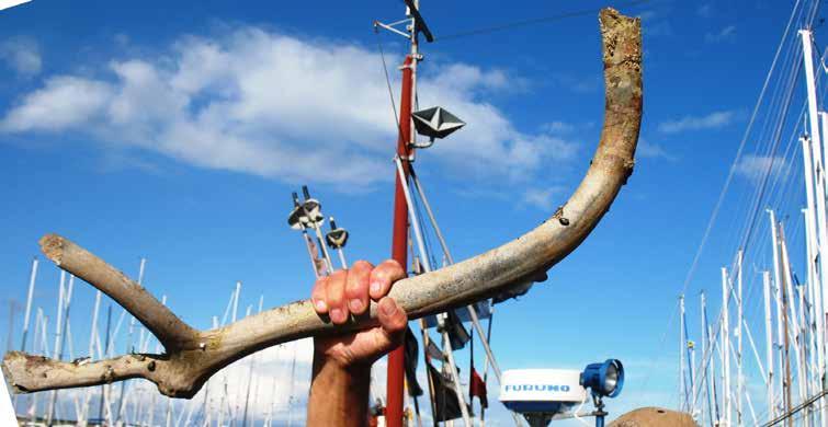 Utställningar Bärnstensmuseet: 1 sep-31 jan, öppet efter överenskommelse Permanent bärnstensutställning, Natur- och kulturhistoria. Renjägare på Falsterbohalvön för 11,000 år sedan.