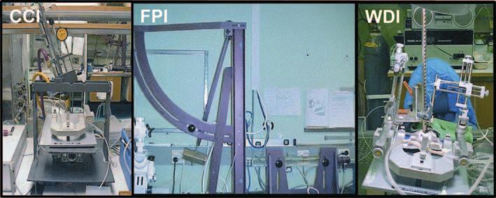 Figure 1. Three in vivo models for TBI. Controlled Cortical Impact (CCI) I have characterized TBI in a wellestablished injury model in mice (paper I), controlled cortical impact (CCI, Fig. 1).