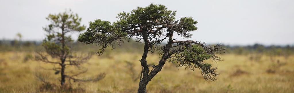 DNR 2019-0416 DNR 2019-00341 Tillämpningsanvisningar taxa för samhällsbyggnadsnämnden