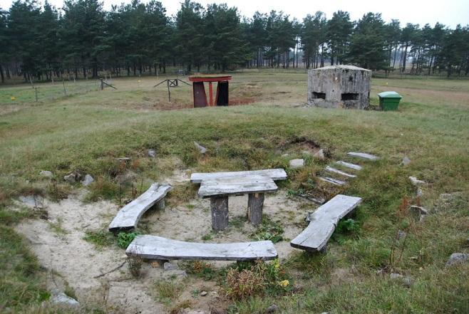 - En hög andel blottad sand och yngre successionsstadier med uppluckrad grässvål ska finnas för att gynna marklevande insekter och störningsberoende växter.