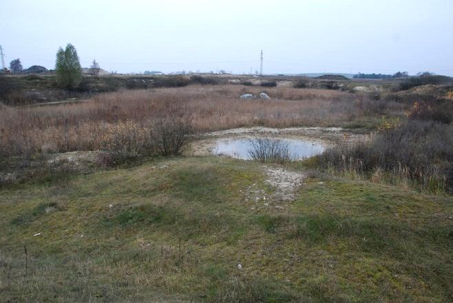 KRISTIANSTADS KOMMUN 15(24) solinstrålningen. Särskilt viktigt är att gynna han-plantor av Salix eftersom deras pollen är värdefullt för rödlistade bin. - Vresros förekommer inte i området.