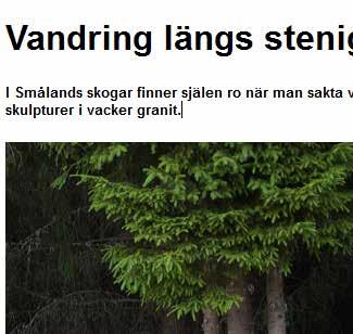 Som standard skrivs allting som vanlig text när ikonen p är vald.