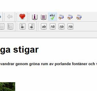 Fortsättning från föregående sida Efter en stunds skrivande kan 0 det vara en god idé att söka efter stavfel.