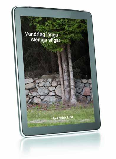 Sigil sparar boken i formatet EPUB, vilket kan läsas på datorer med programmet Calibre, på Android-enheter med exempelvis appen