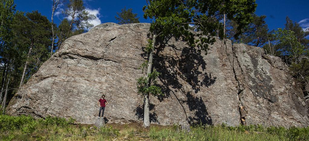 Sid Lilla Torsdagsberget - Fituna.0,.0 Nyutvecklad mindre svavägg i närheten av Grönbrinksberget som tack vare avverkning kommit fram i ljuset.