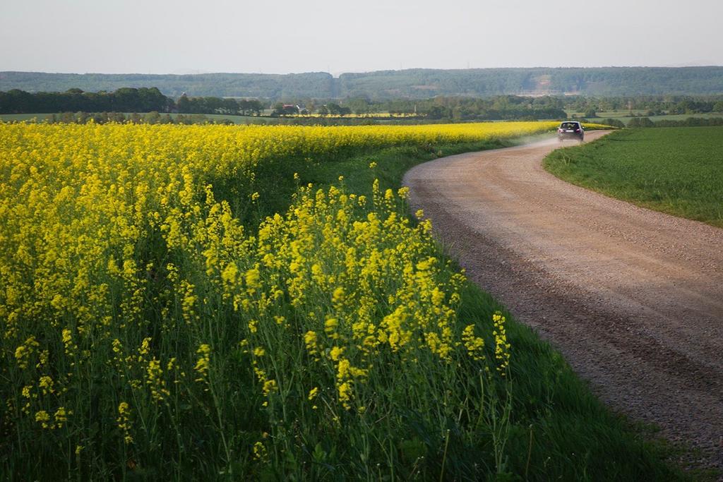 Minimibeloppet (schablonbeloppet) för ensamstående är (år 2019) 5249 kronor. Minimibeloppet (schablonbeloppet) för sammanlevande makar och sambor 4435 kronor.