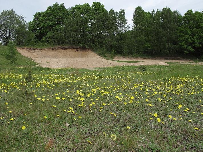 De är dessutom pollinatörer av ett flertal av de odlade grödorna, vilket bidrar till människornas försörjning av livsmedel.