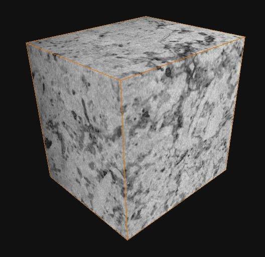 3D röntgenskanner: Före bränning.