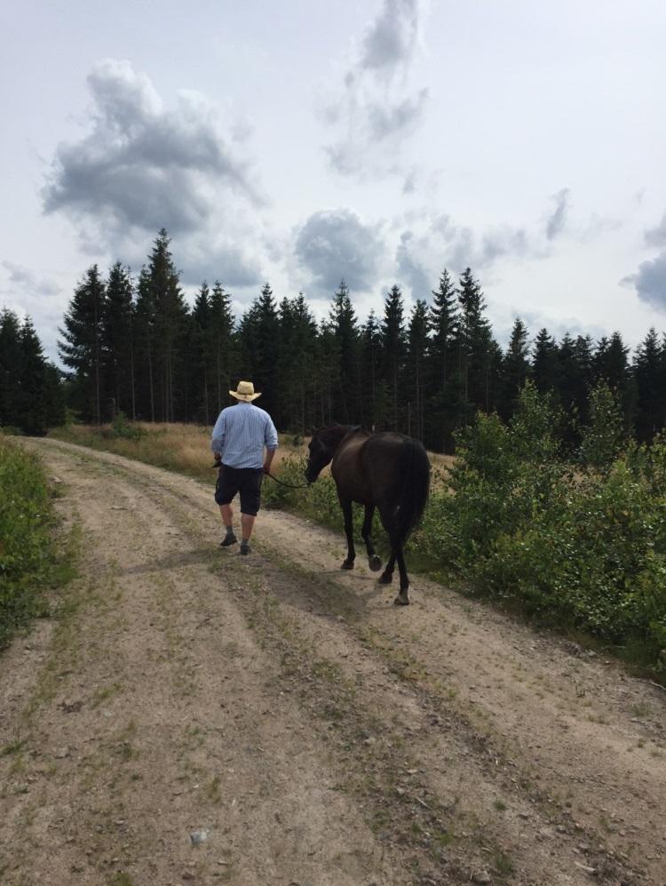 Sjätte och sjunde träffen 160727 och 160925 Vid den sjätte och sjunde träffen medverkade återigen två deltagare onsdagen den 27/7-2016 kl. 14-18 och den 25/9-2016 kl. 13-16.