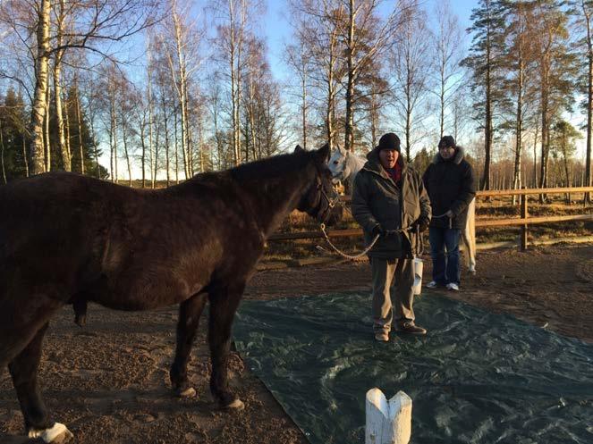 Det krävs ömsesidigt förtroende för att hästen ska våga sätta hovarna på okänt material och kommunikationen behöver utvecklas för att det ömsesidiga förtroendet ska stärkas.