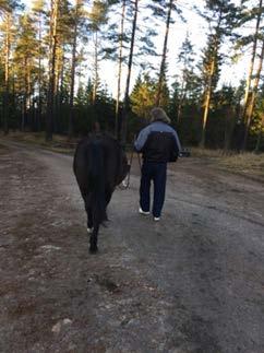 konkreta slutsaster drogs kring detta.