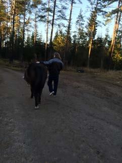 det kan innebära för livet i övrigt. Tredje träffen 160102 Vid den tredje träffen lördagen den 2/1-2016 kl.